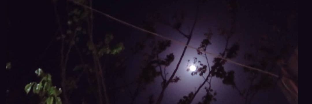 Trivedi krupali banner