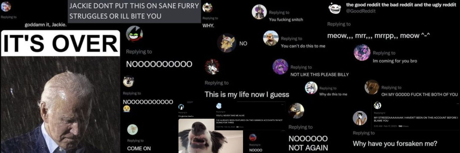 Unbiased Furry Struggles's banner
