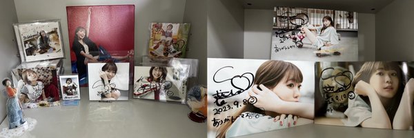 halcyonsg Profile Banner