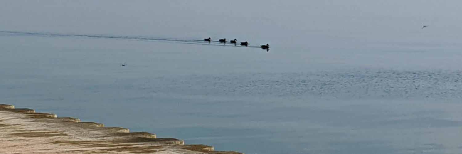 Yu-Ting Chiang banner