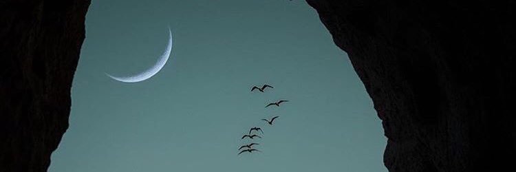 colton_LTS's profile banner image