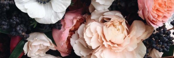 KATGRACE_'s profile banner image
