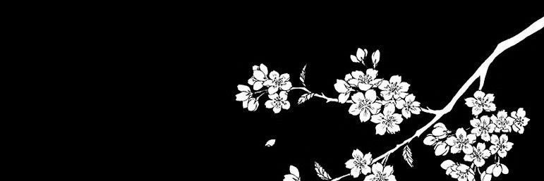 Katya banner