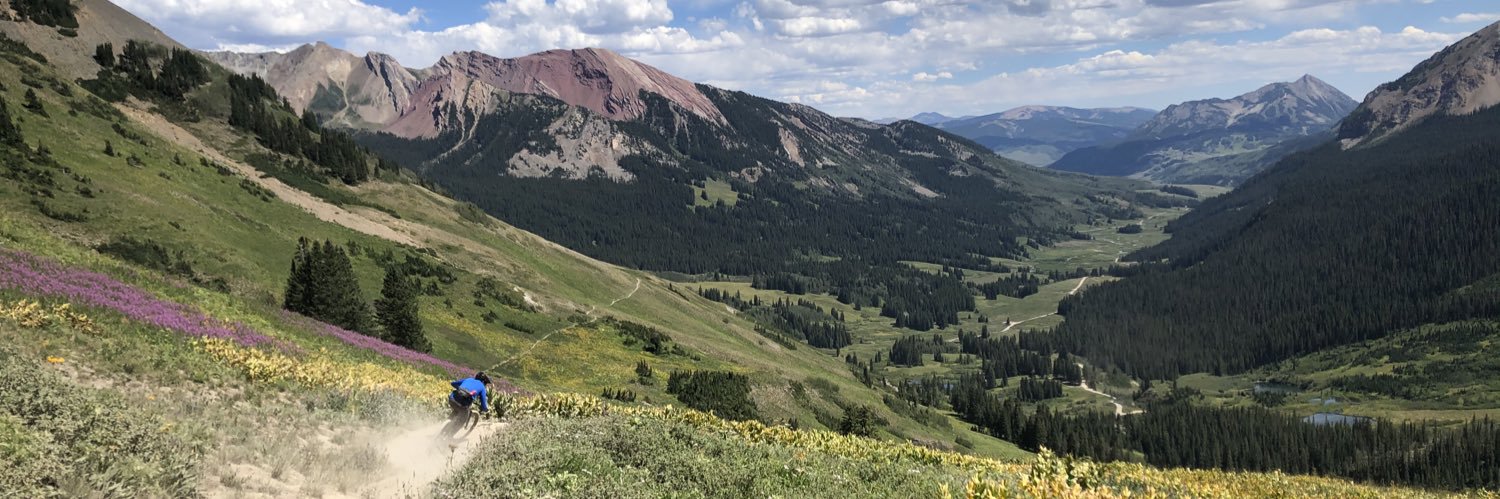 Sandy Student banner