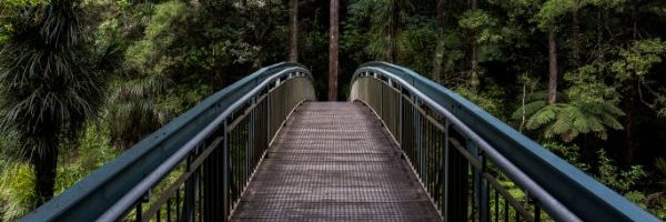 RodgersChidgey's profile banner image