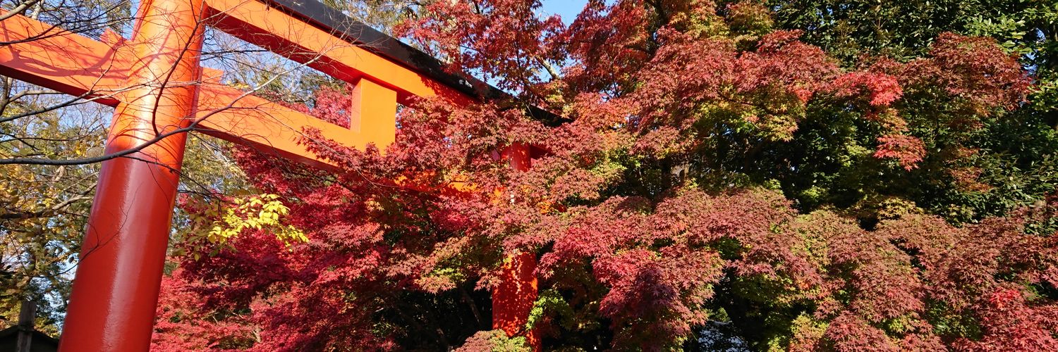 SakuraMeteor's profile banner image
