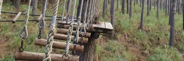 mark_rasquinha Profile Banner