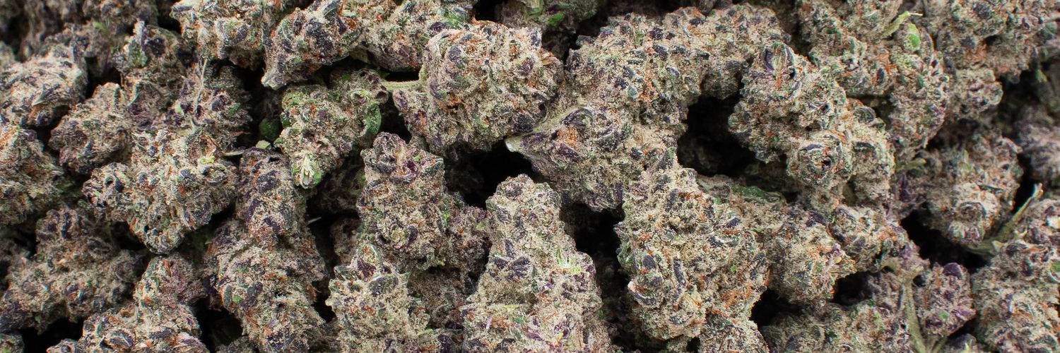 canna_andy's profile banner image