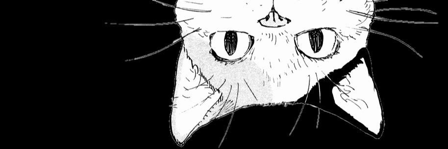 leticiajol's profile banner image