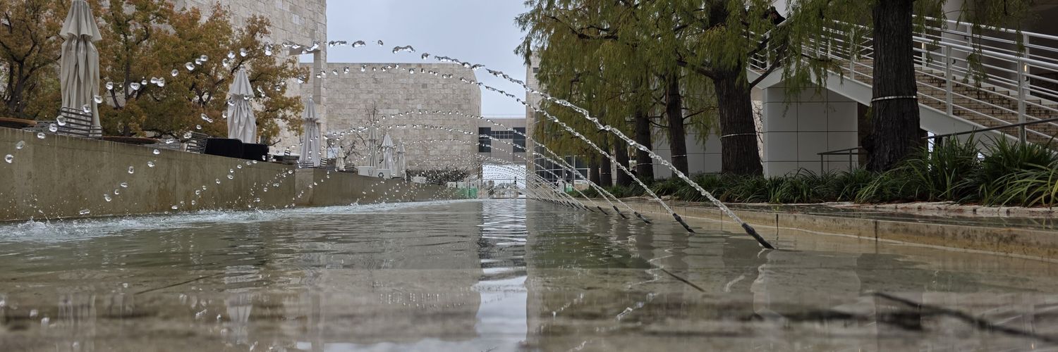 🌲 🌲 Willow 🌲 🌲 banner