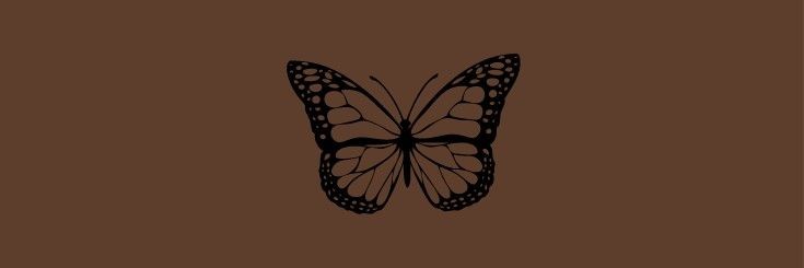 Ria banner