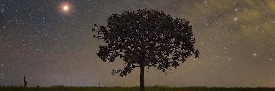 luyanne_'s profile banner image