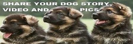 BestGSDVideos's profile banner image