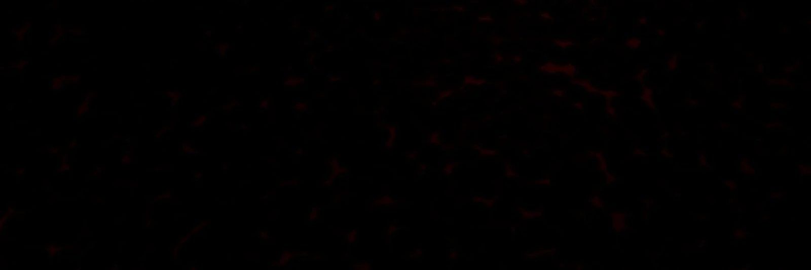 richardwrdd's profile banner image