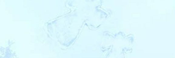 Ina2989_'s profile banner image