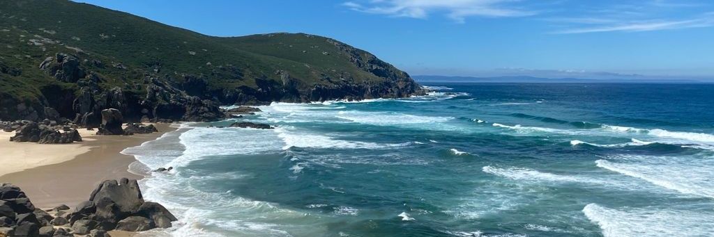 Beatriz González banner