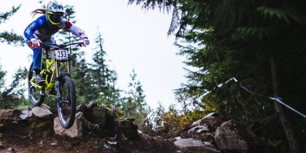 MicaylaGatto's profile banner image