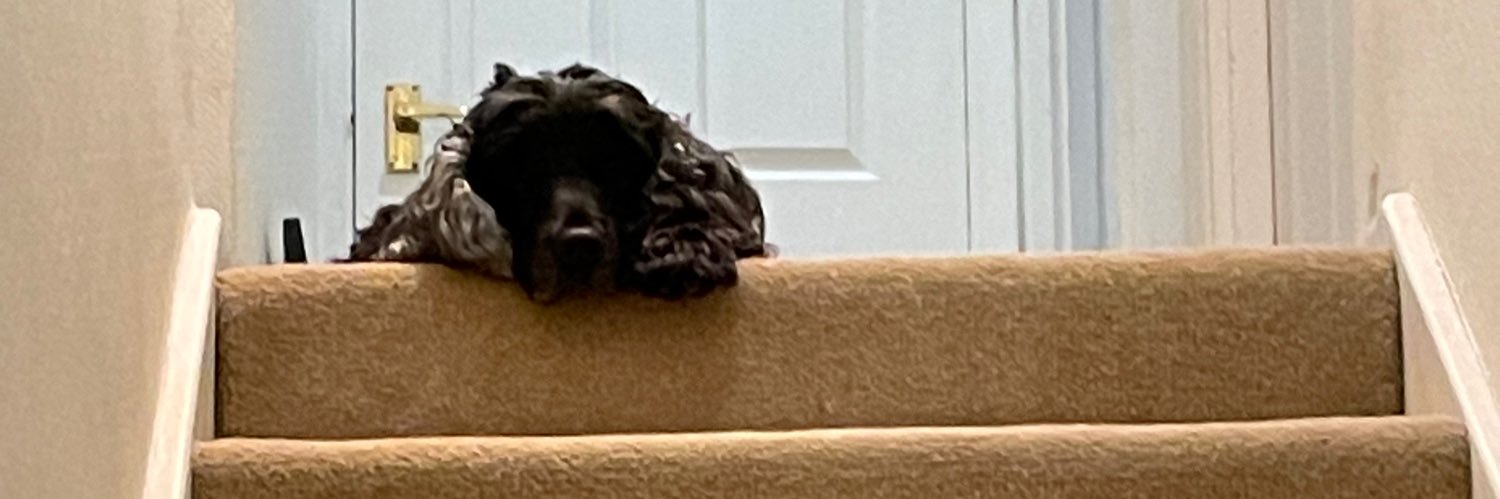 MrsGauntlet's profile banner image
