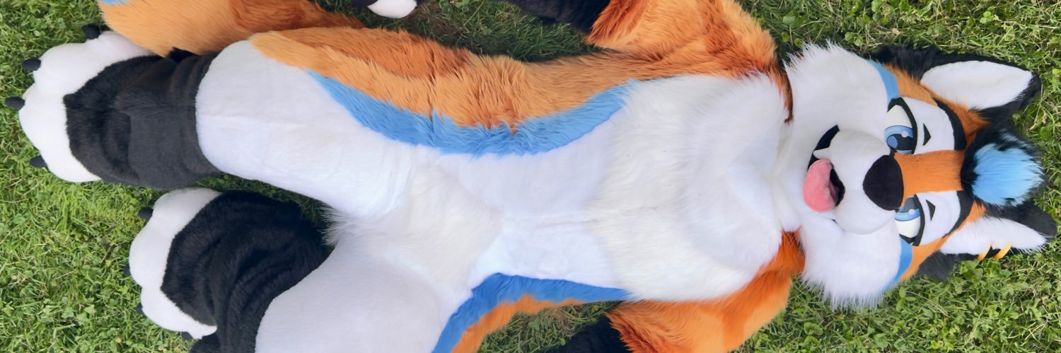 Ari 🦊 🔜 MP's banner