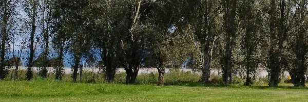 Jazhy_Under Profile Banner