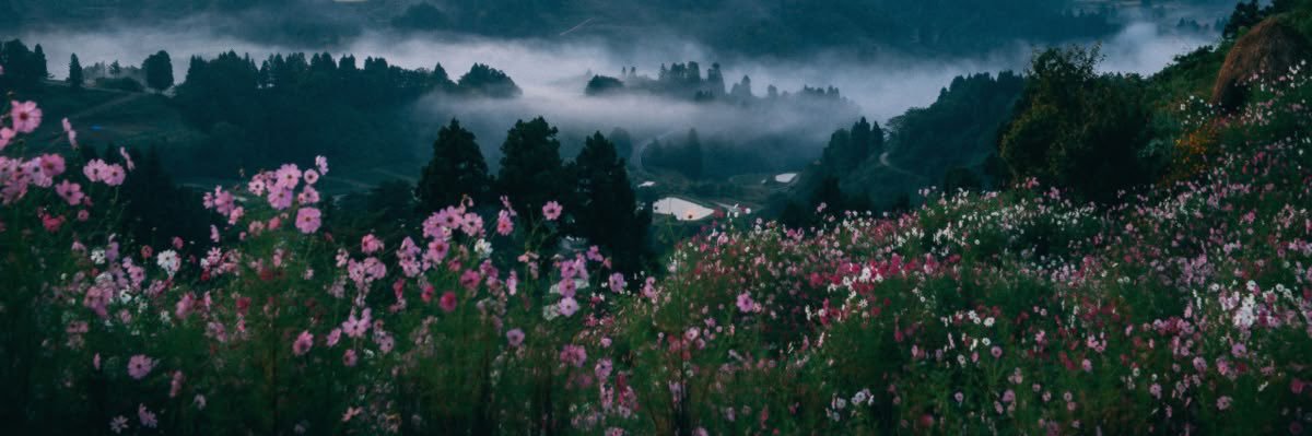 𝓡𝓪𝓲𝓶𝓪 🚩 banner