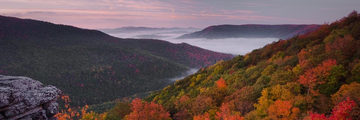 ChrisNyden's profile banner image