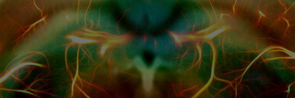 benjamin__vidal Profile Banner