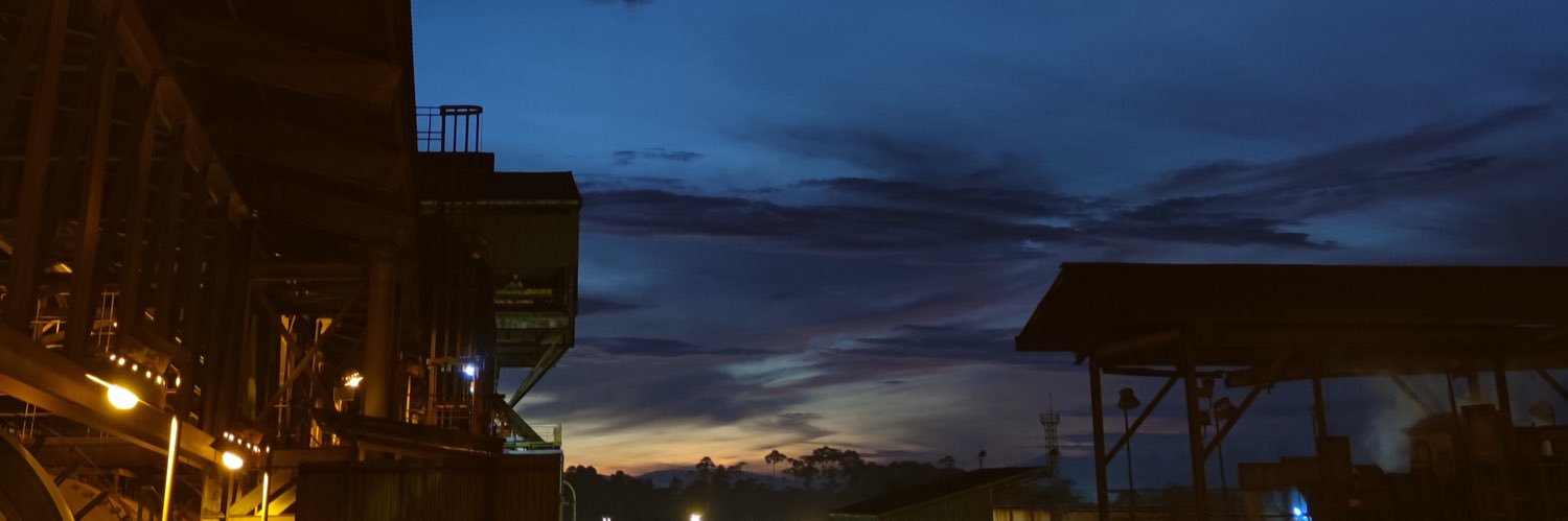 dyannicholas's profile banner image