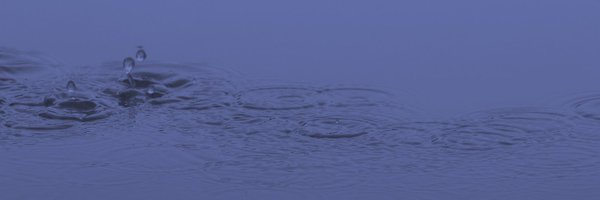CEPDISCresearch Profile Banner