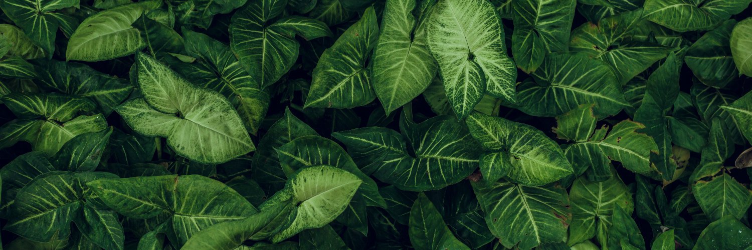 Curated Pieces banner