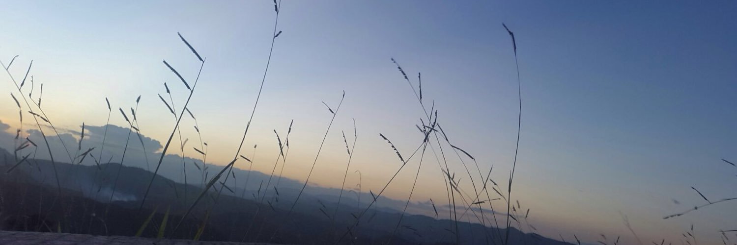 mjsventura's profile banner image