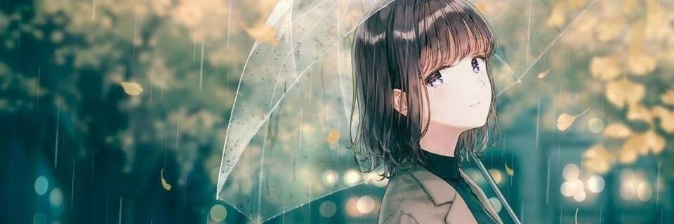 FaizeHiba's profile banner image