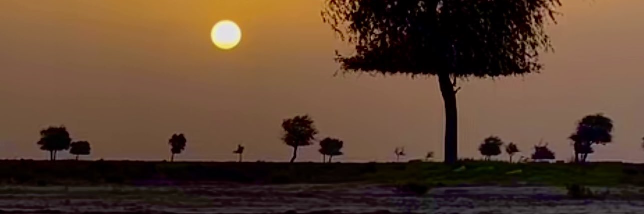w_ri88's profile banner image