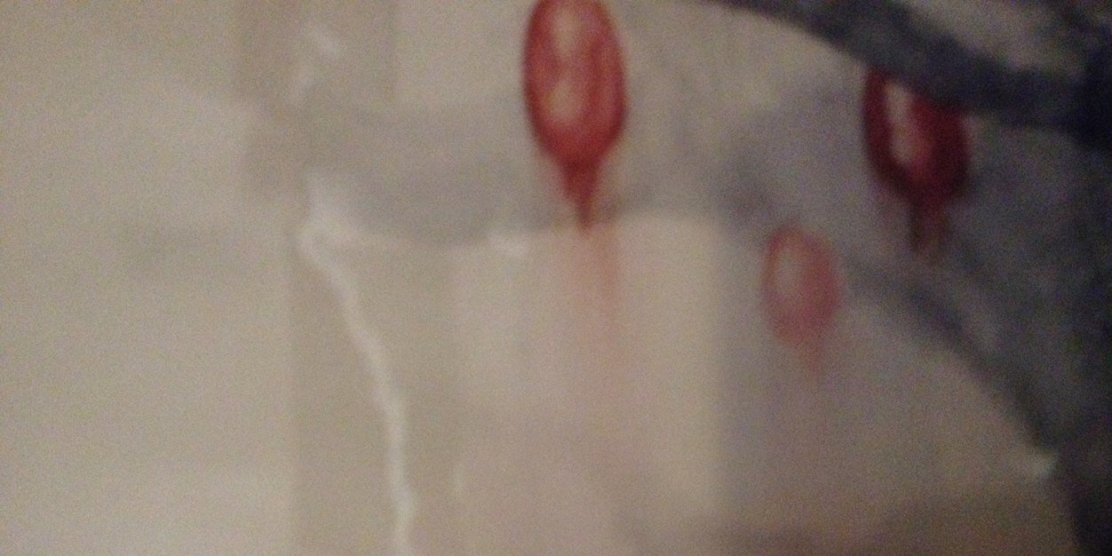 no lady godiva banner