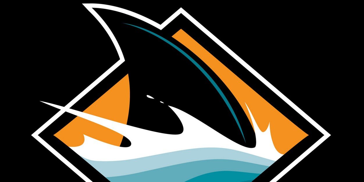 wizll's profile banner image
