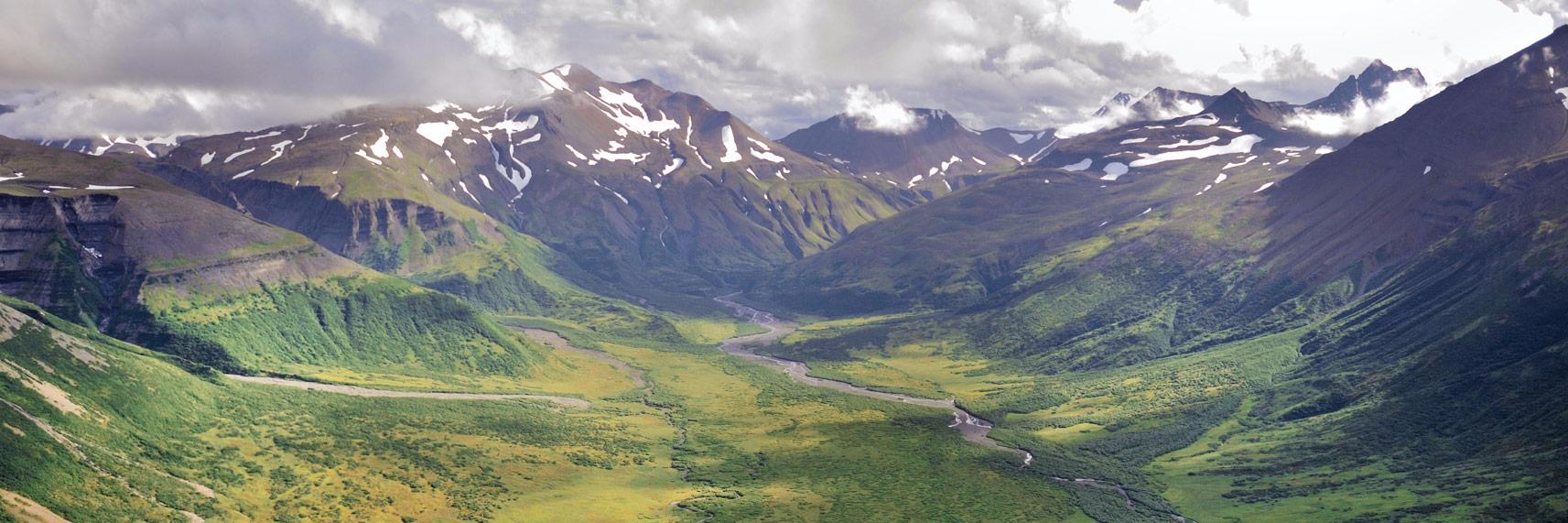 michael yeomans banner