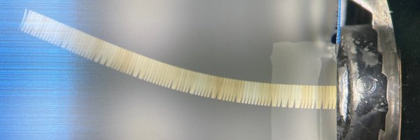 MelainiaM Profile Banner