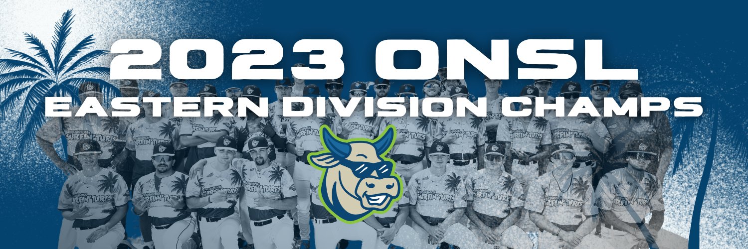 Brunswick Surfin’ Turfs banner