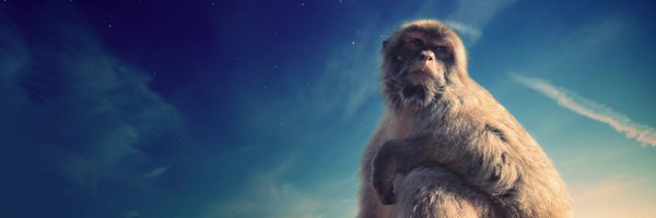 DayneRathbone Profile Banner