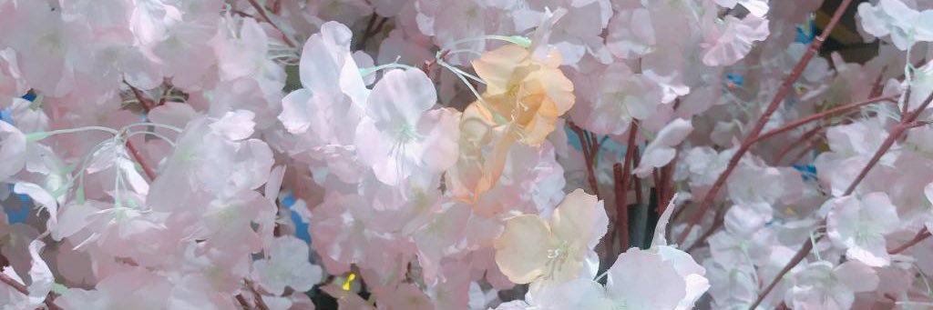 Mon109's profile banner image