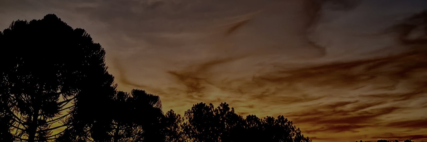 vitor_olivetti's profile banner image