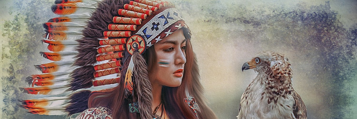 Spectator Owl ⚪️ banner