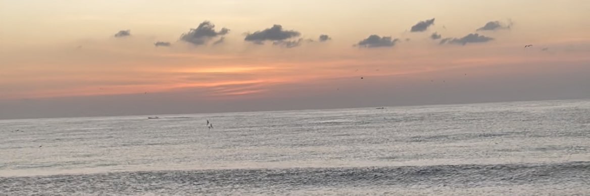 ibellla7's profile banner image