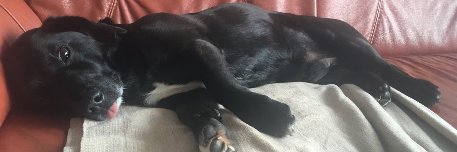 Lukáš Tajchner banner