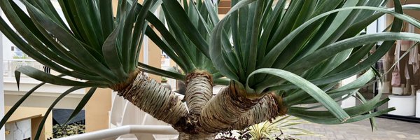 ssr_rwg Profile Banner