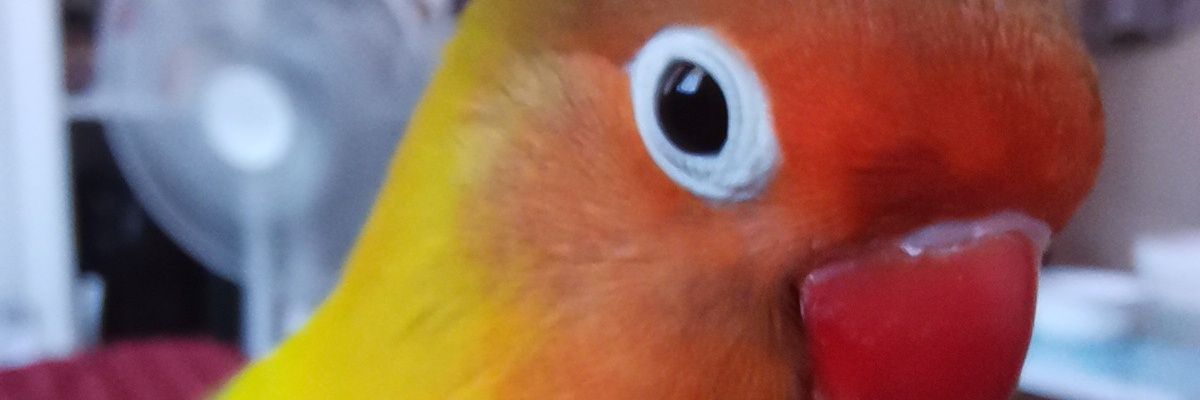 qsznqxt's profile banner image