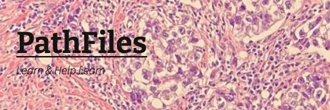 PathFiles's profile banner image