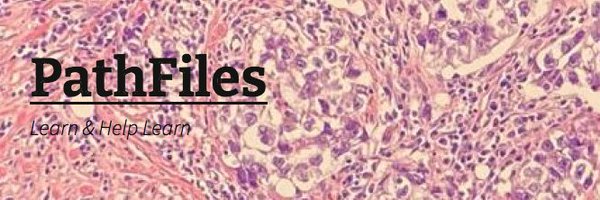 PathFiles Profile Banner