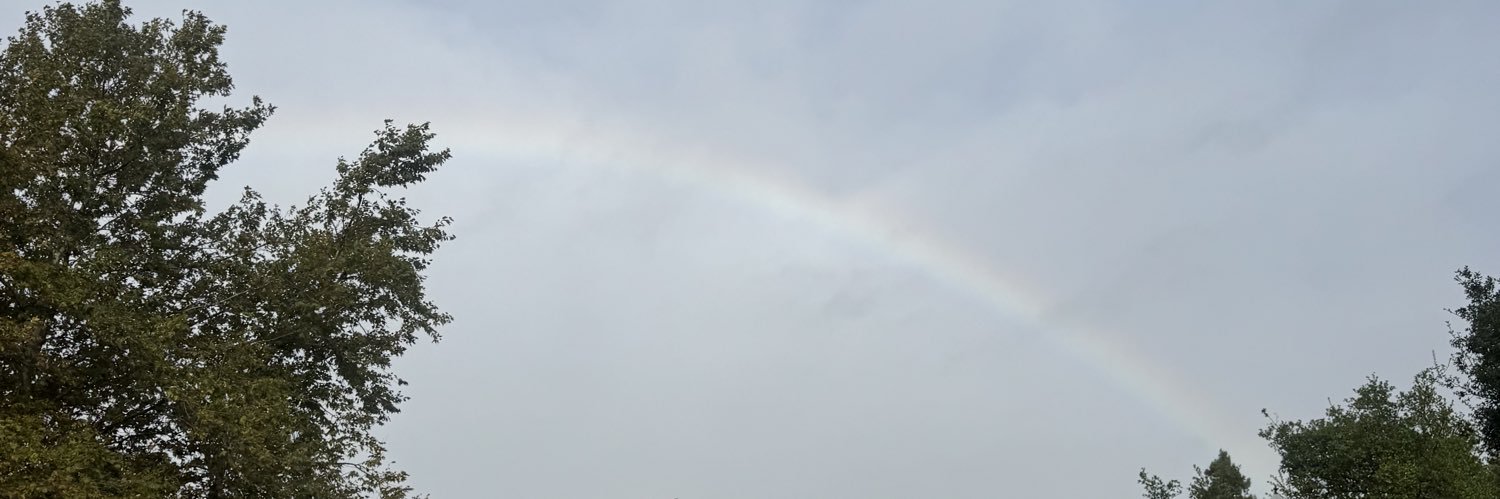 auviously's profile banner image