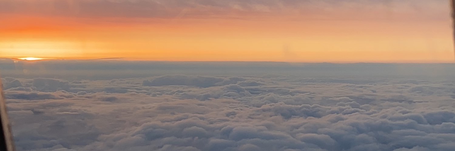 trahydolem's profile banner image